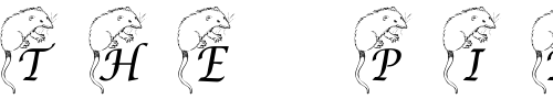 Font : pf_opposum1 Custom Text : The Pirate Way Test your own text here Click to download or to view this font on a tshirt that can be custom printed in Bali