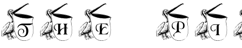 Font : pf_pelican1 Custom Text : The Pirate Way Test your own text here Click to download or to view this font on a tshirt that can be custom printed in Bali