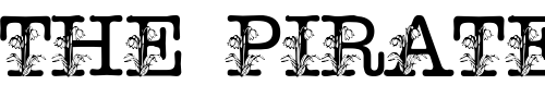 Font : pf_snowdrp2 Custom Text : The Pirate Way Test your own text here Click to download or to view this font on a tshirt that can be custom printed in Bali