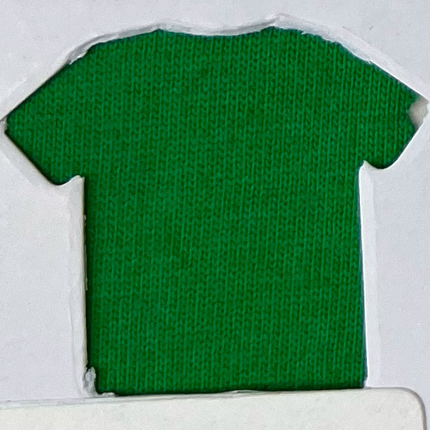 Green Parrot